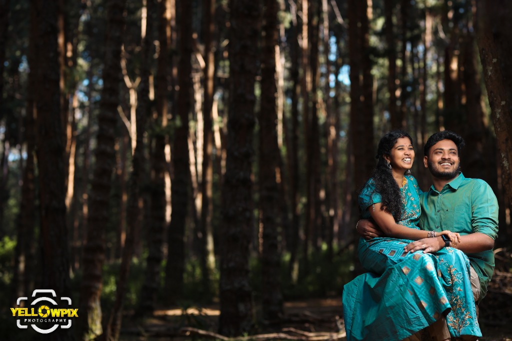 Yellowpix Photography Pine Forest Couple